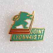 Joint Lyonnais TI